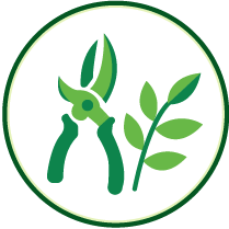 Icon 03